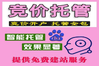 案例分享：SEM代运营服务公司助力企业品牌知名度